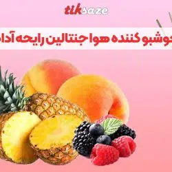 تصویر خریدخوشبو کننده هوا جنتالین رایحه آدامس میوه ای