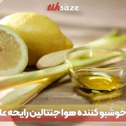 تصویر خریدخوشبو کننده هوا جنتالین رایحه علف لیمو GENTALLIN.