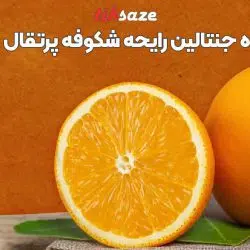 تصویر خوشبو کننده هوا جنتالین رایحه شکوفه پرتقال GENTALLIN