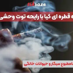 تصویر خرید خوشبو کننده قطره ای کیابا رایحه توت وحشی KIA