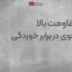 عکس خرید اسپری استیل براق او جی اس